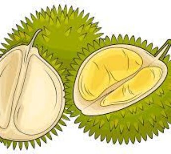 Durian – 28G