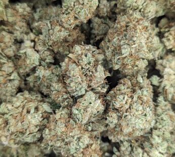 White Castle – 28G