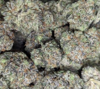 Pink Death Star – 14G