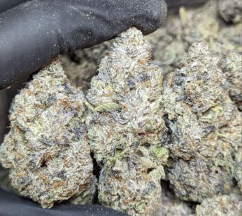 African Black Magic – 14G